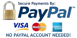 paypal-logo love for pin up 